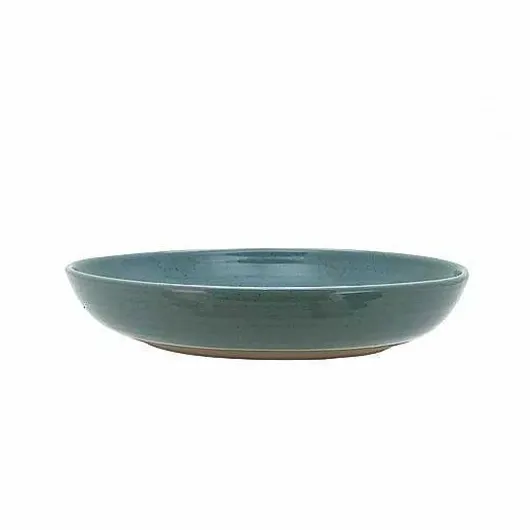 Food Network Farmstead Dinner Bowl